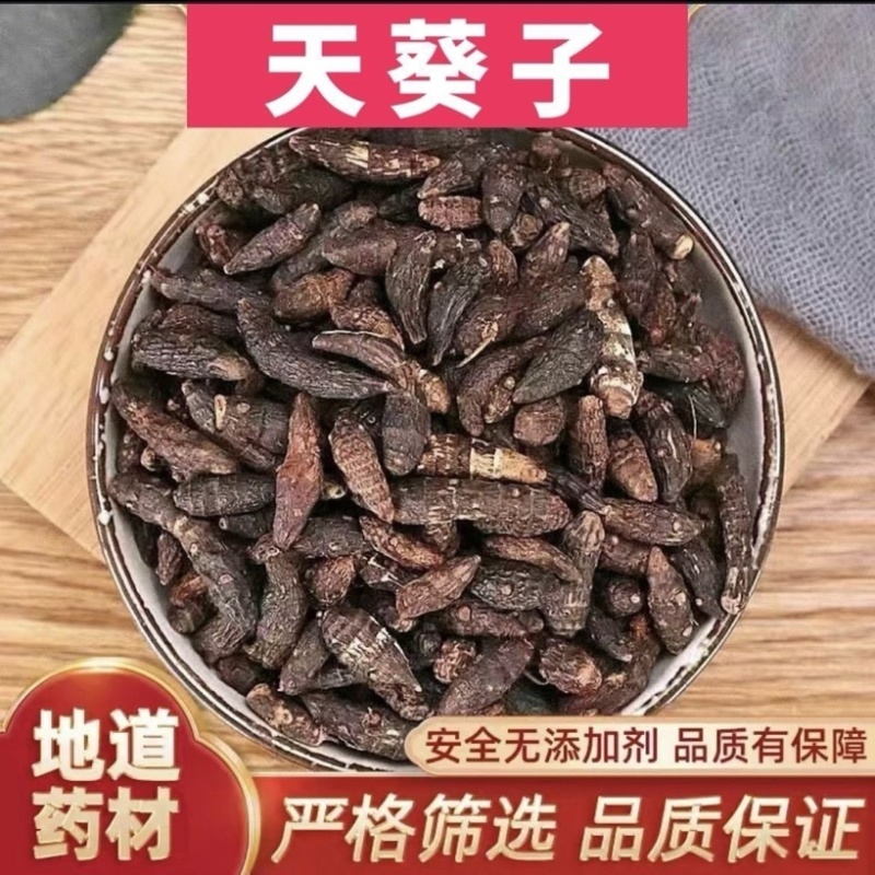 天葵子野生天葵子紫背天葵子新鲜无硫原声态真品新货批发零售
