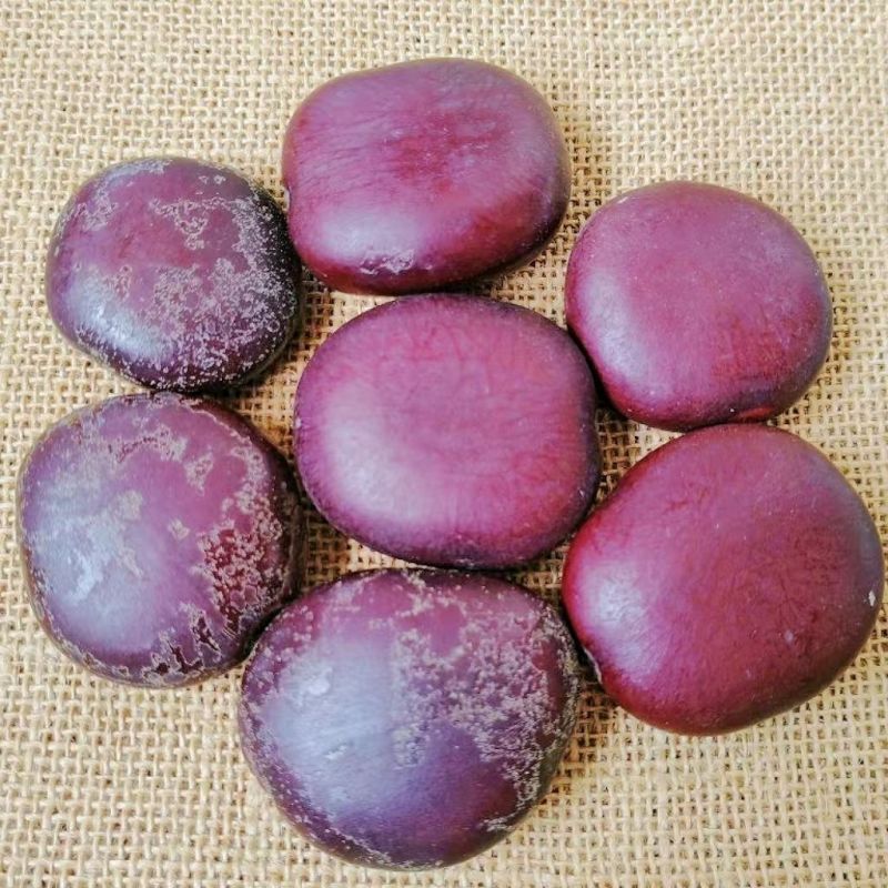 木腰子新货阴阳子泡酒中药材阴阳果过江龙子木腰子大货批发