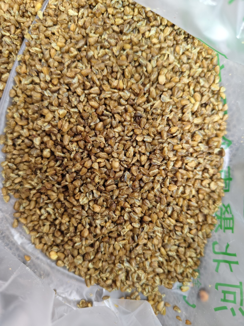 苦荞黑苦荞茶批发烘焙苦荞米饭店家备量大运费可谈