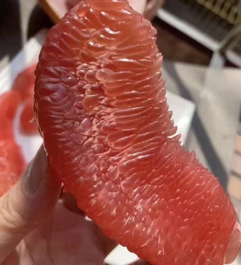 蜜柚，福建柚子，红心柚，白心柚