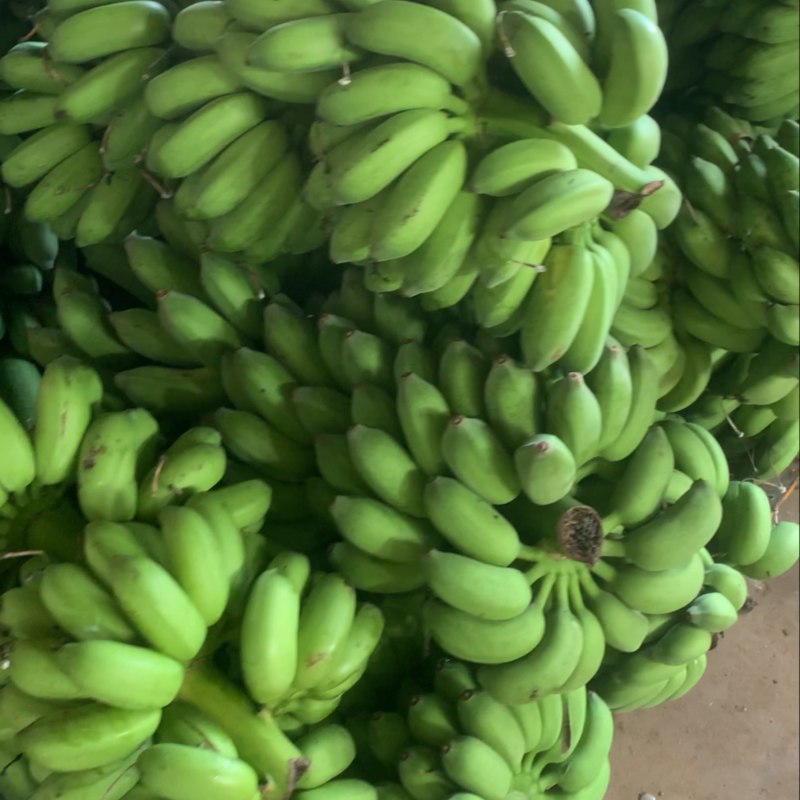 广西小米蕉精品整车出，需要的老板滴滴