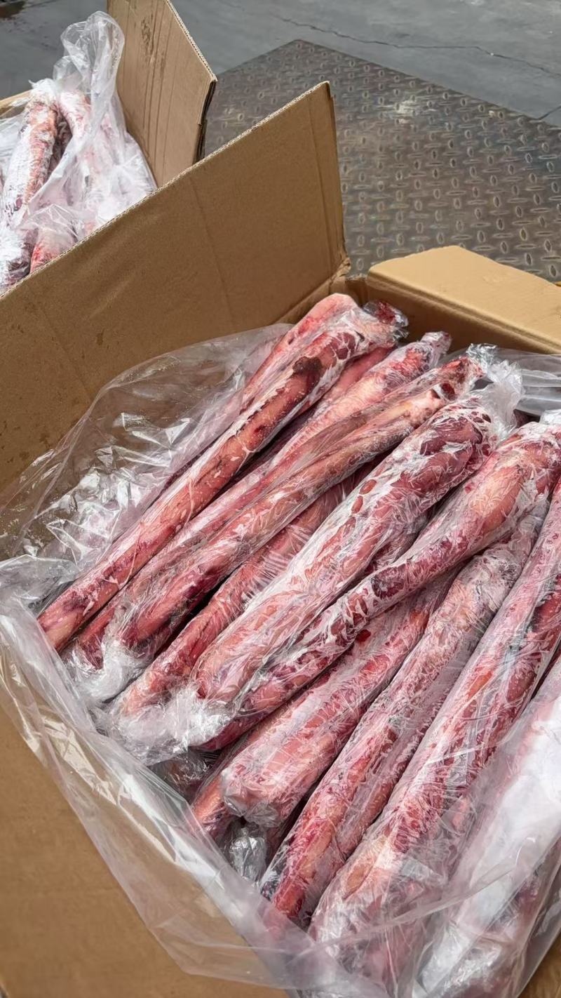 精修单根牛鞭郑州现货***********