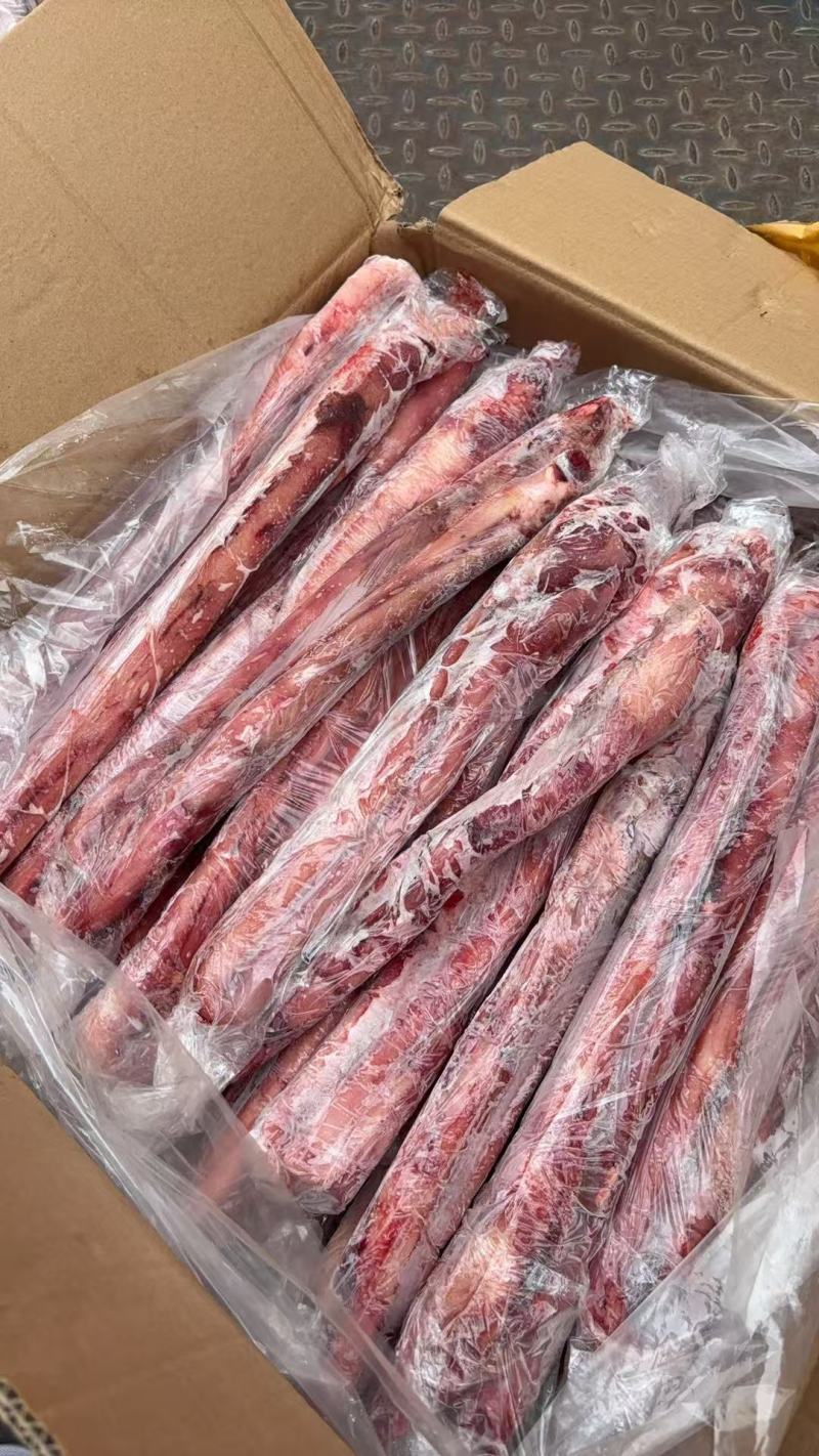 精修单根牛鞭郑州现货***********