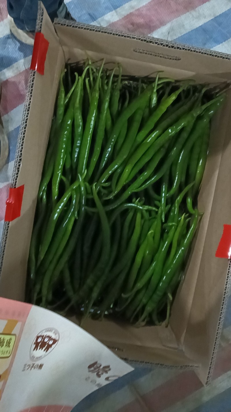 鲜线椒