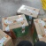 精品大荔冬枣
