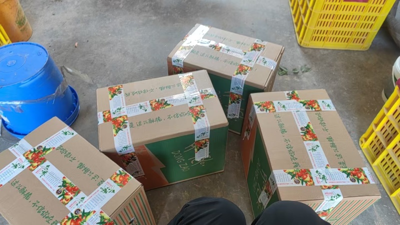 精品大荔冬枣