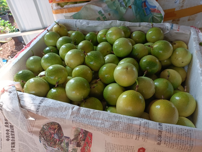 精品黄金百香果