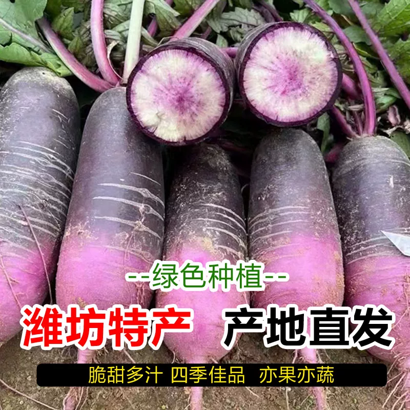 冰淇淋萝卜一件代发量大批发