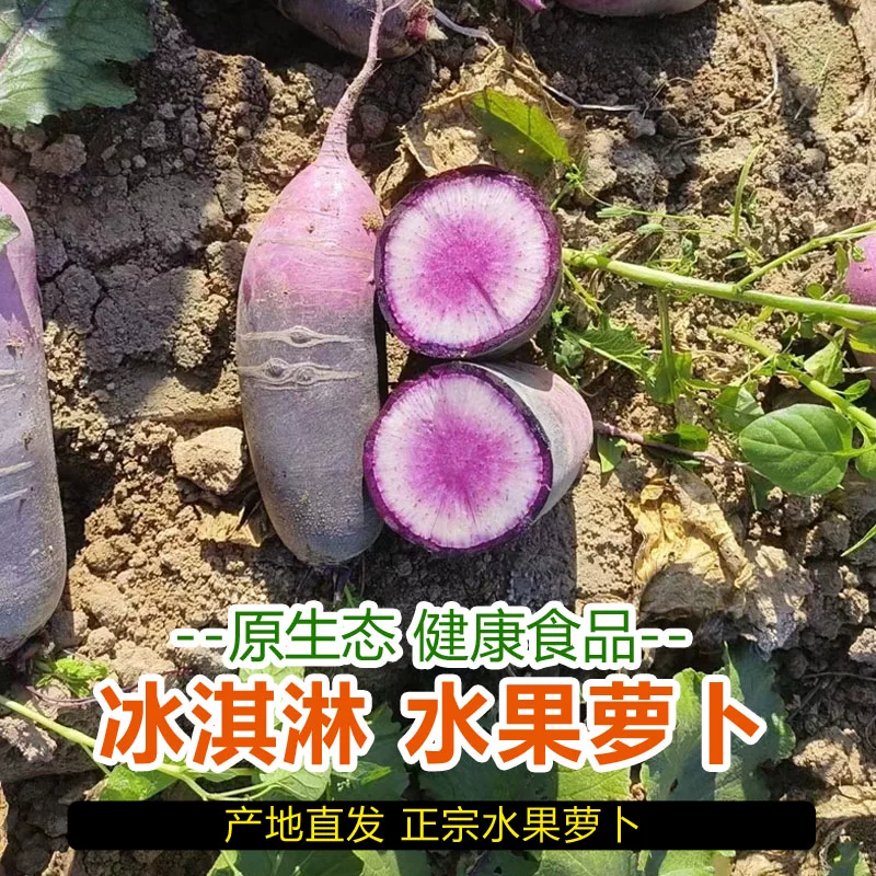 冰淇淋萝卜一件代发量大批发