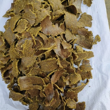 优质棉籽饼，菜籽饼天然有机肥有意向老板可以找我洽谈