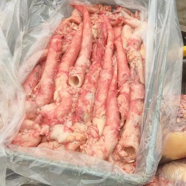本地黄牛心管精修有长期稳定供应能力