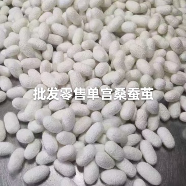 嘉兴市尊丝缘商贸有限公司，源头自产自销，无中间商差价。