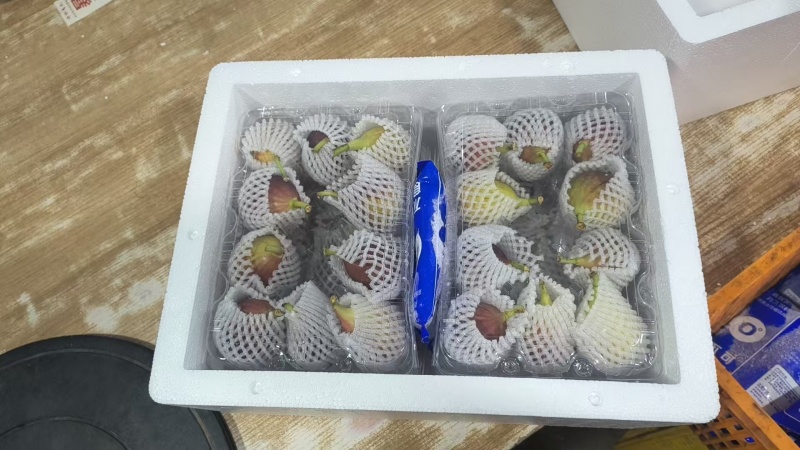 顺丰包邮新鲜无花果电商一件代发专业小红书品质