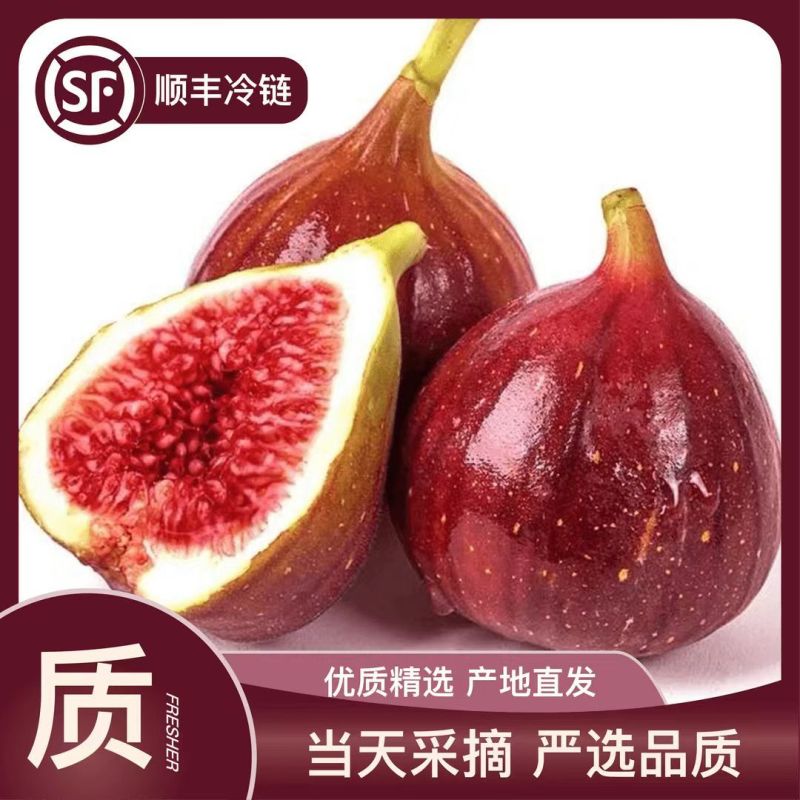 顺丰包邮新鲜无花果电商一件代发专业小红书品质