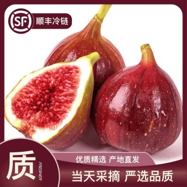 顺丰包邮新鲜无花果电商一件代发专业小红书品质