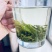 生态茶园手工制作