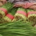 优质韭菜，货源充足，产地直供。