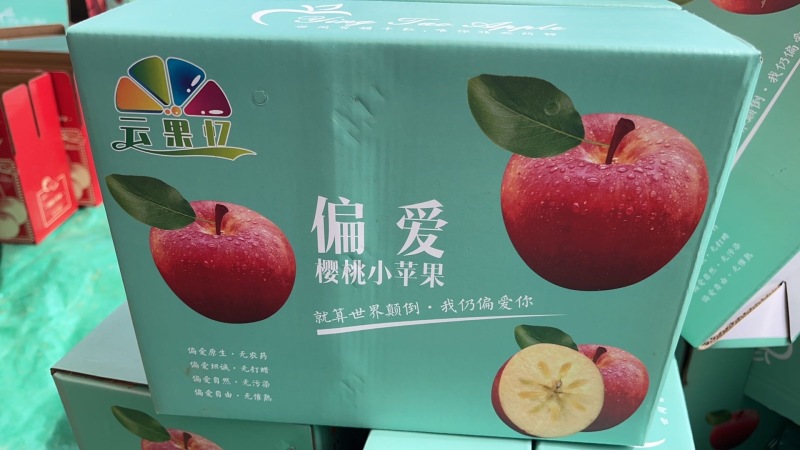 云南昭通红露苹果