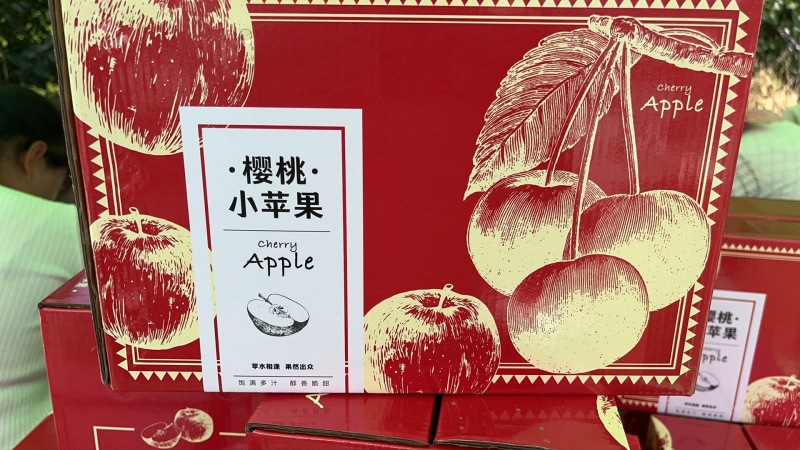 云南昭通红露苹果