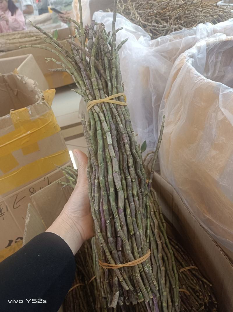 鲜货石斛各规格有货，有需要的老板放心入手实物拍摄量大丛优