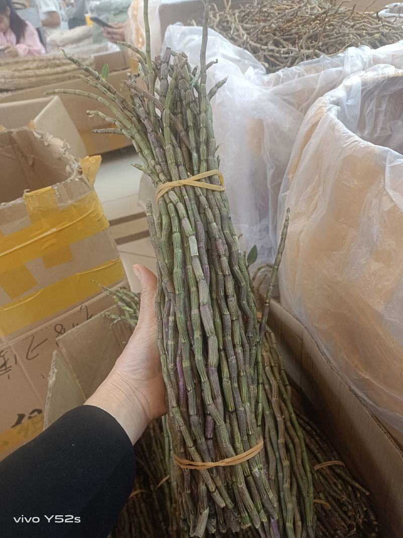 鲜货石斛各规格有货，有需要的老板放心入手实物拍摄量大丛优