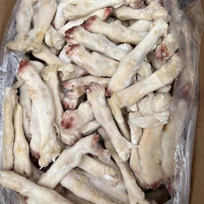 白羊蹄