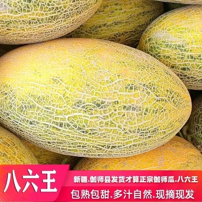 八六王新疆蜜瓜/哈密瓜/现货直发/大量有货