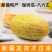 八六王新疆蜜瓜/哈密瓜/现货直发/大量有货
