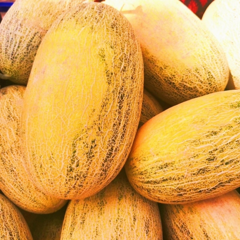 八六王新疆蜜瓜/哈密瓜/现货直发/大量有货