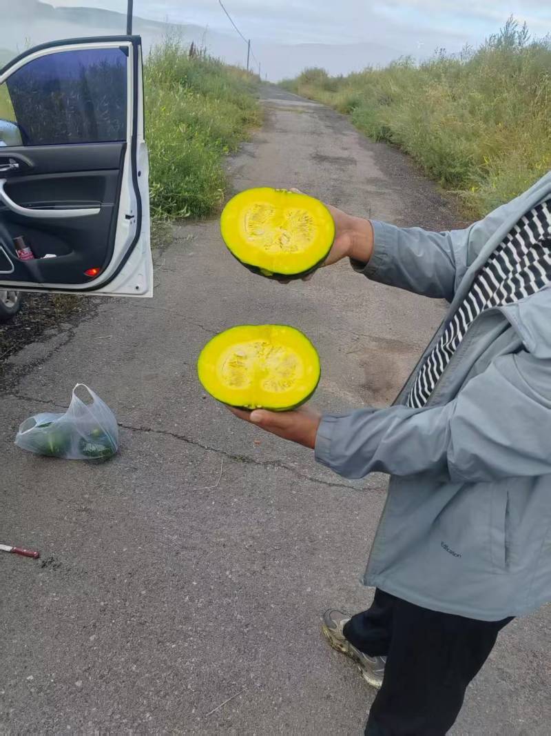 板栗南瓜