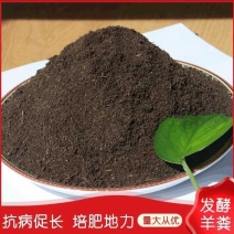 过冬有机肥羊粪有机肥各种经济作物通用产地直销量大从优