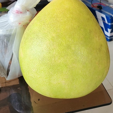红心柚