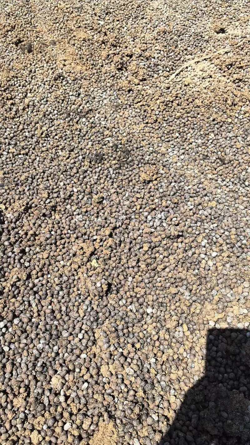 羊粪有机肥各种经济作物通用产地直销量大从优可视频看货