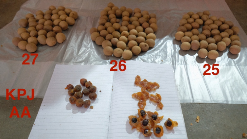 泰国72℃蒸汽烘烤桂圆干