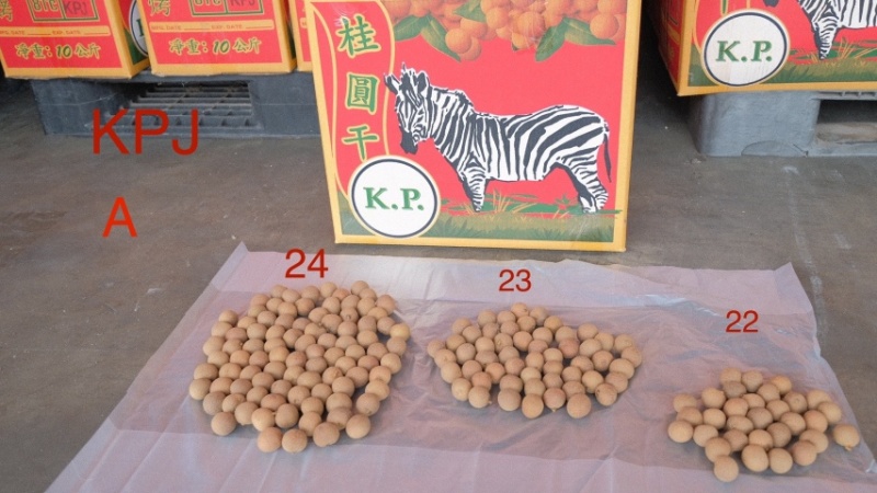 泰国72℃蒸汽烘烤桂圆干