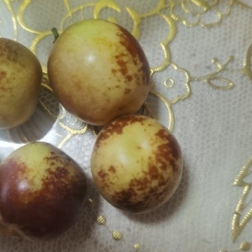冬枣