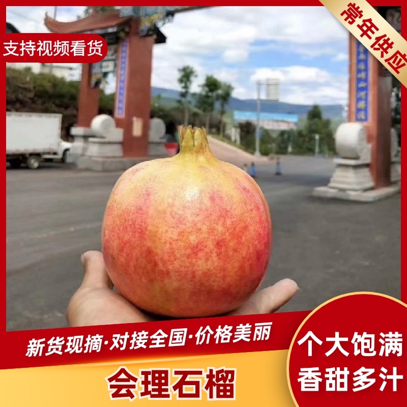 突尼斯软籽石榴/会理石榴，新鲜现摘，品质保证！