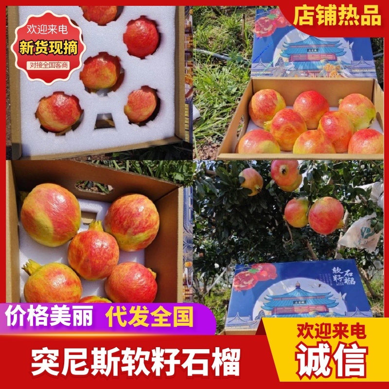 中秋送礼会理软籽石榴，高品质保证质量，欢迎来电洽谈！