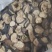 【量大优惠】新疆喀什烘干茄子品质保障对接全国批发