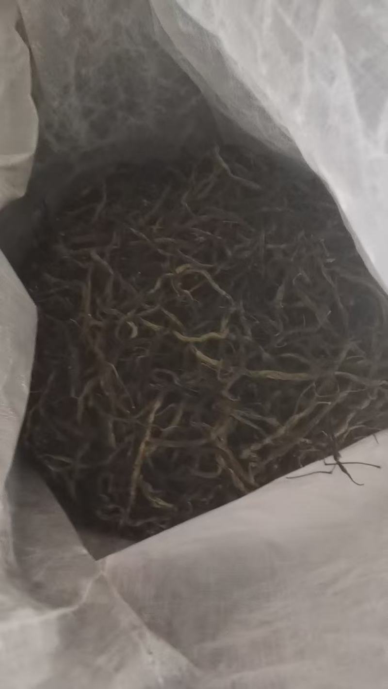 【量大优惠】新疆喀什烘干无筋豆品质保障对接全国批发