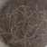 【量大优惠】新疆喀什烘干无筋豆品质保障对接全国批发