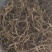 【量大优惠】新疆喀什烘干无筋豆品质保障对接全国批发