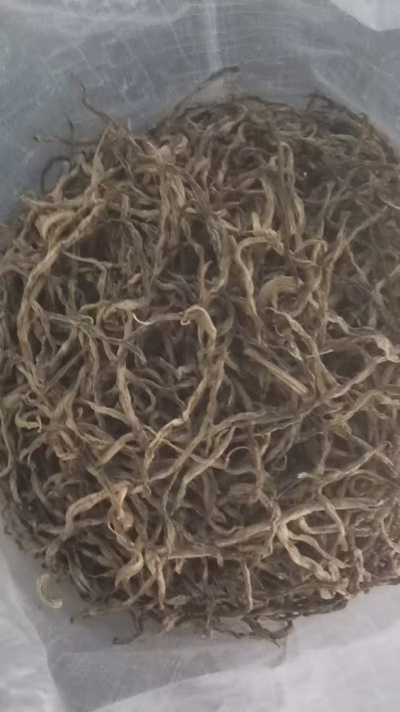 【量大优惠】新疆喀什烘干无筋豆品质保障对接全国批发