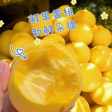 西瑞黄桃