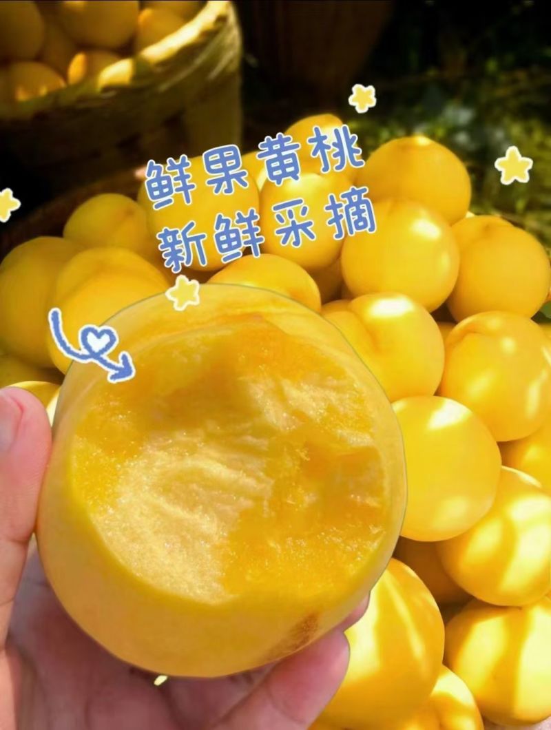 西瑞黄桃