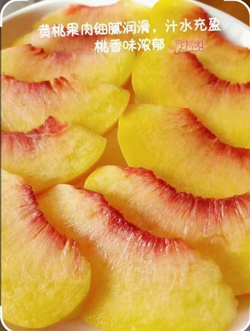 西瑞黄桃