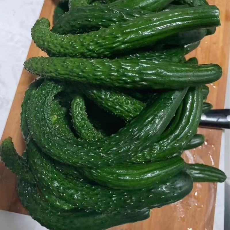 山东莘县黄瓜新颗短把密刺，一二三级电商货大量有货