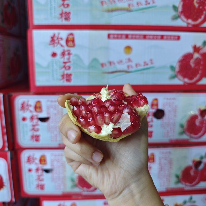 突尼斯软籽石榴一件代发日发3万单