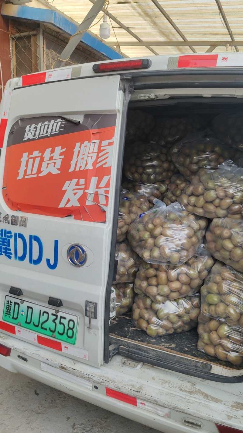 碧玉猕猴桃产地代办，你的托付，我的责任！欢迎砸单