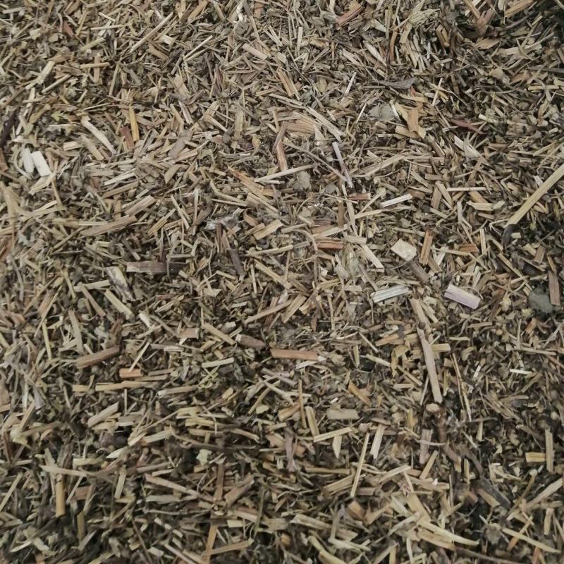 老鹤草